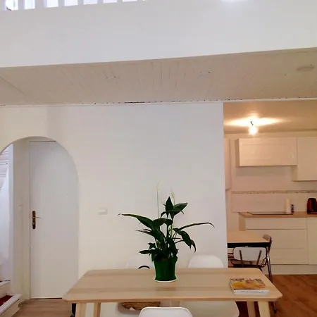Duplex T2 Lumineux Hyper Centre